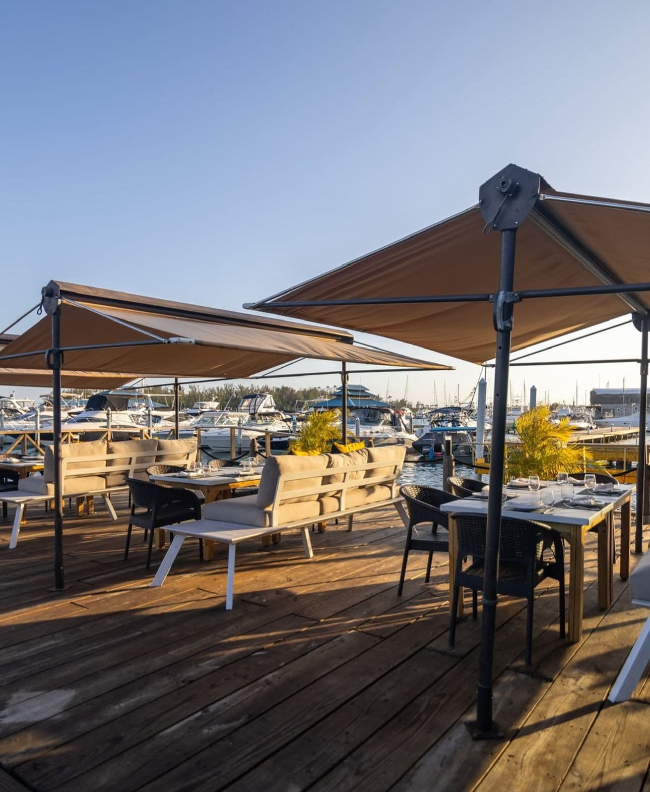 La Proa Bistro Marina image 1