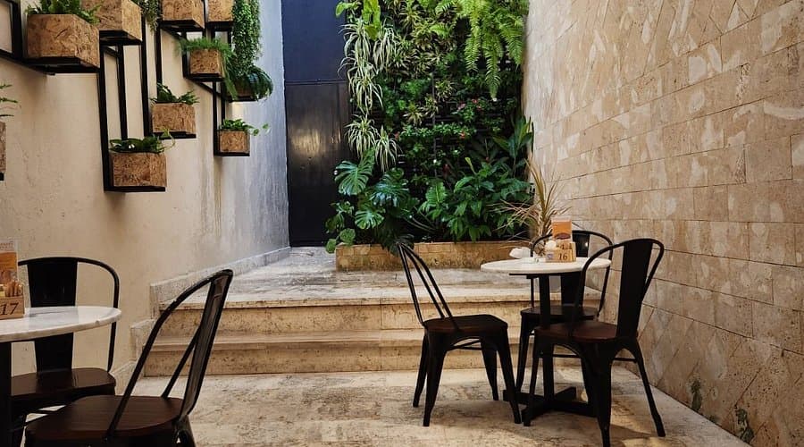 Granier Zona Colonial image 2